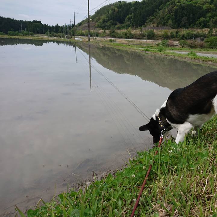 Cfaf2f02 ea28 440a b50b 31e429ab9f7d 1524866970023