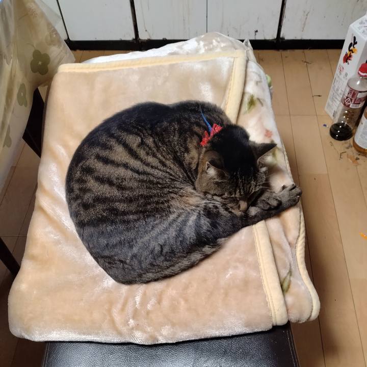 Cfaf50bb 440a 418d 8e88 959fcb717d38 1703645483034