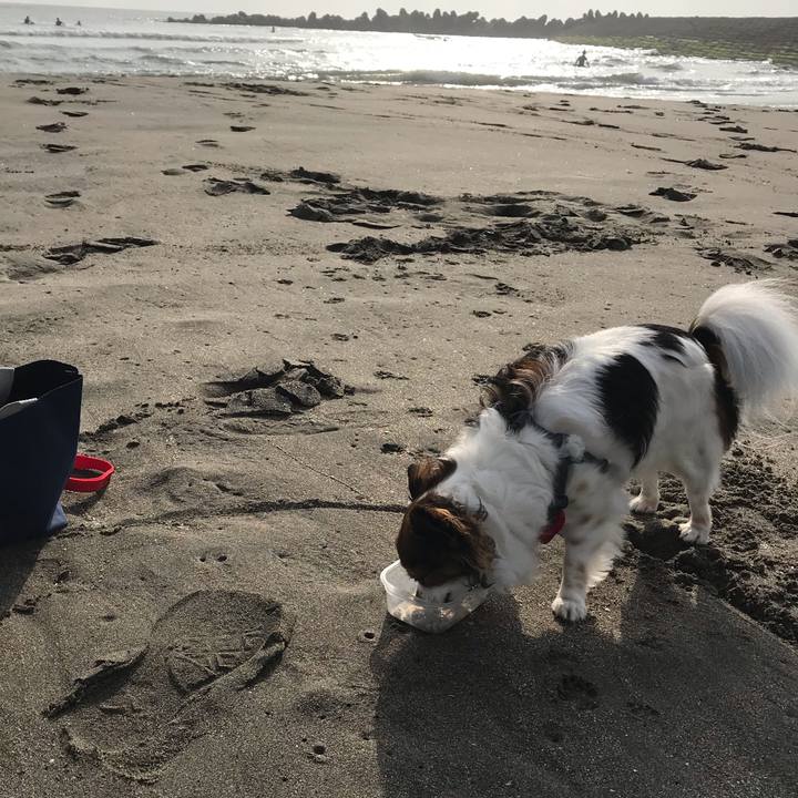 Cfaf5362 8215 4900 8820 e0340554c986 1556923999247