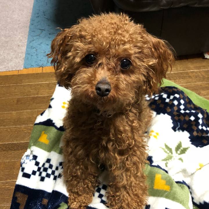 Cfaf7b6e e7cc 4be4 ac7e 729b84bf8075 1523103209766