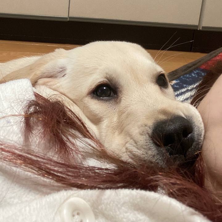 Cfafaa89 fdf2 4d7e 9adc d4a878b119ca 1613133529970