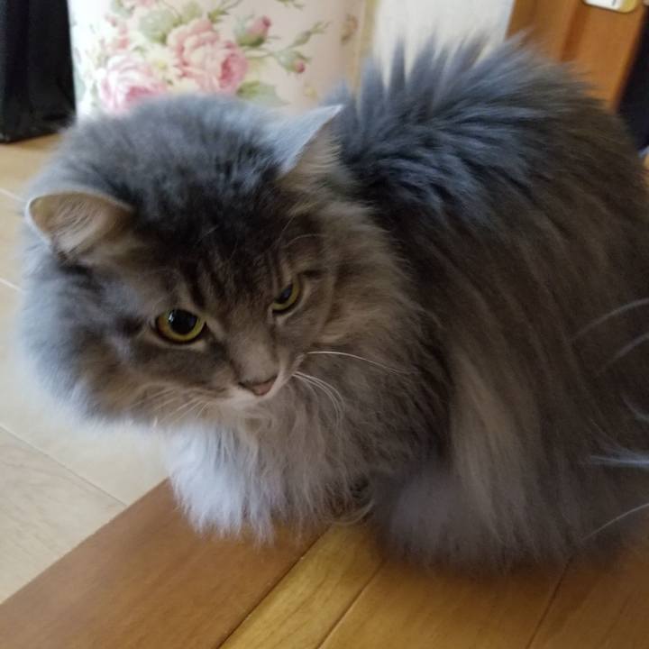 Cfafbbff 529b 42e3 b663 e092f4d86361 1552200867758