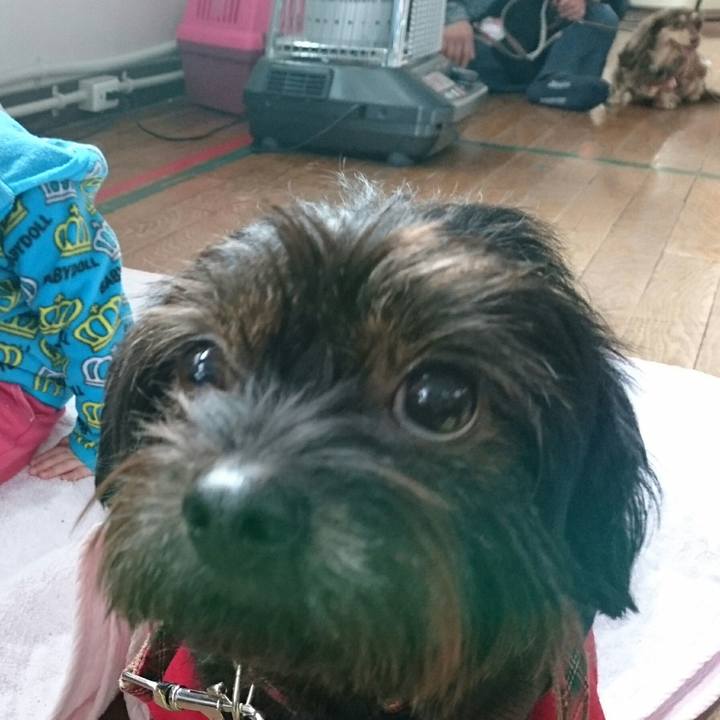 Cfafd577 0dc1 4527 ab80 878c8256b183 1544959056068