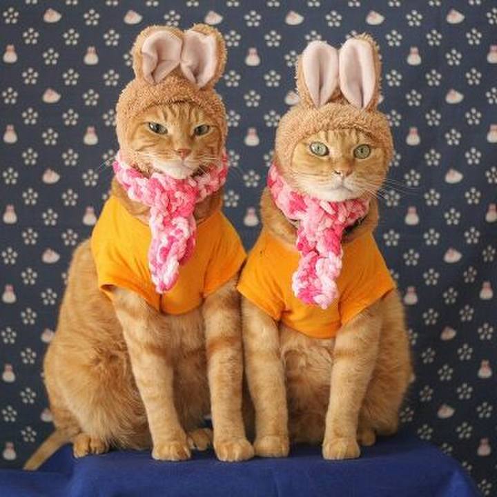 Cfafdf83 bad8 4003 85e9 5bab6d0c6400 1544354111361