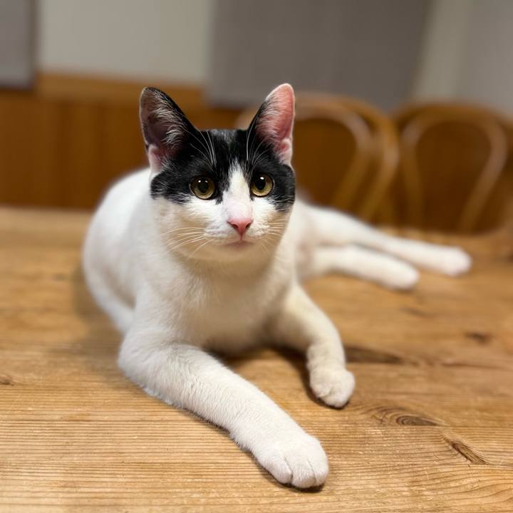 Cfb04fa8 d9b8 40cd 8f1d ca70365c6436 1771983955487