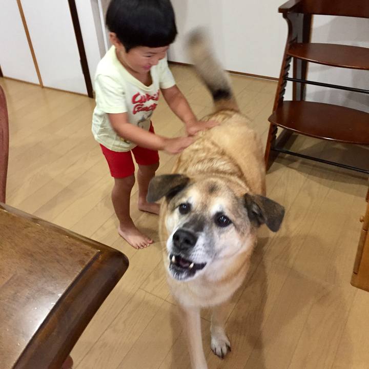 Cfb0905d 12e6 45cc 9b60 b3d1f56db9d2 1565486094872