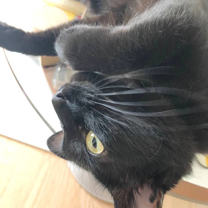 Cfb0dadc baab 432e aa3a 85e3cf62b4de 1526682841413