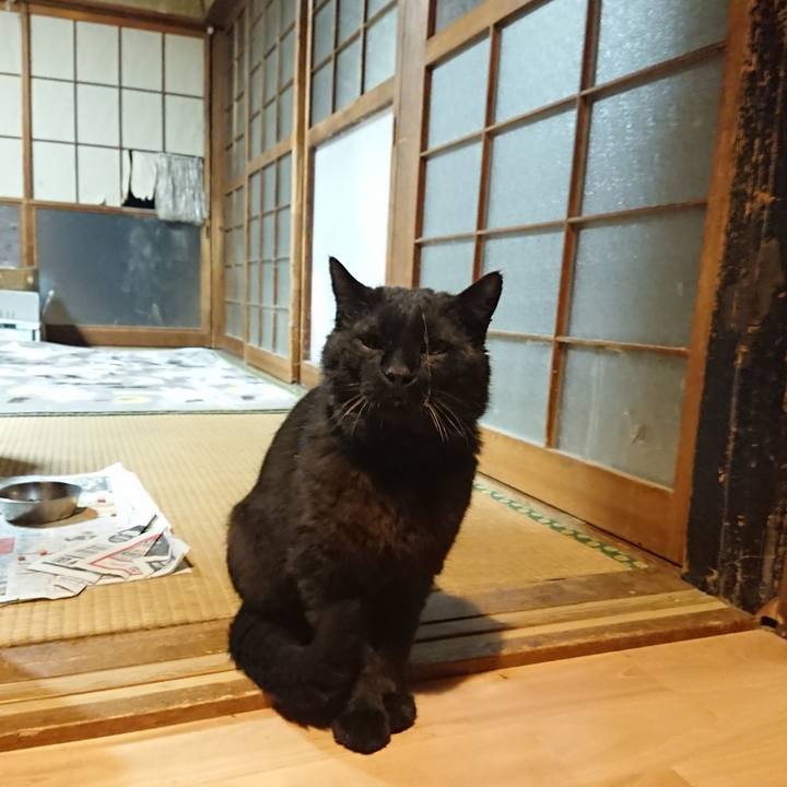 Cfb0e4cc 7f3c 4b61 8c85 3a0dc58aa663 1620132119888