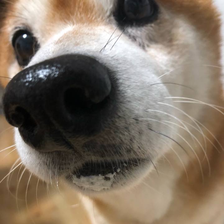 Cfb116c6 dd9f 4e24 b228 58750a85abd5 1538004030238