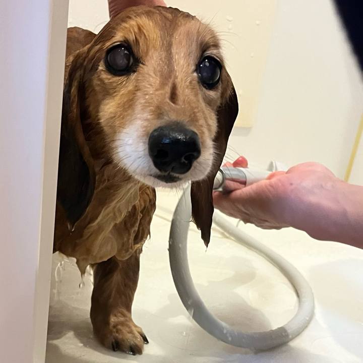 Cfb11714 1b99 4daf 8cb6 8c23a256c676 1648984924352