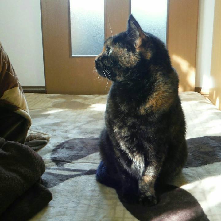 Cfb13384 17b9 442b be4f d76abb8e80ed 1510378900958