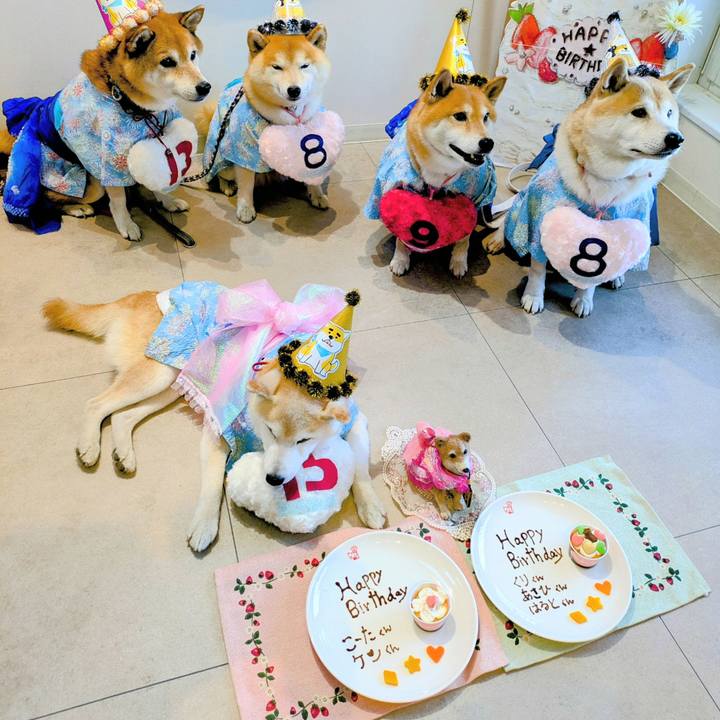 Cfb13db7 5cf0 4a9f 9b64 49b6eb0af202 1759018715418