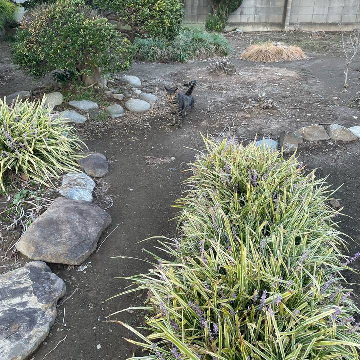 Cfb14525 a388 43fd 88df 4e4d9fb59674 1697450409741