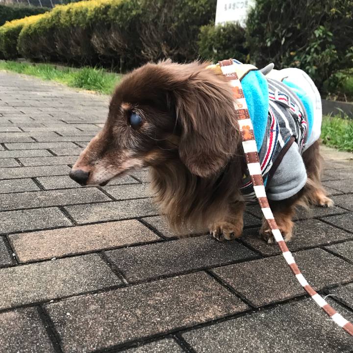 Cfb15b03 e8f9 417f a6ec cd165e1d11ec 1580108476639