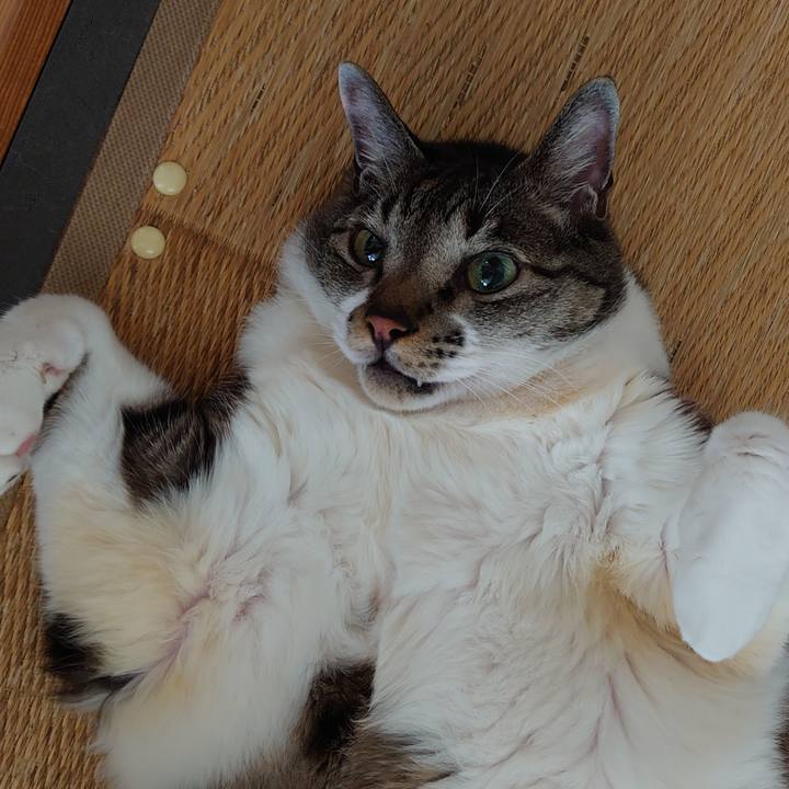 Cfb18a1b eb31 4be3 915d f8bb77478b34 1687934435384