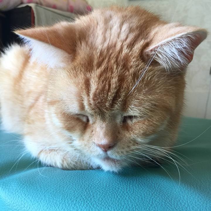 Cfb1a690 cef6 4a73 a7dc 9e41d602547a 1550731709059