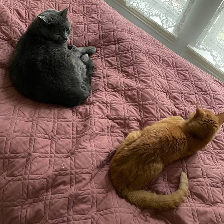 Cfb1c6f0 4261 41fc b99c ee6508cec244 1769478774950