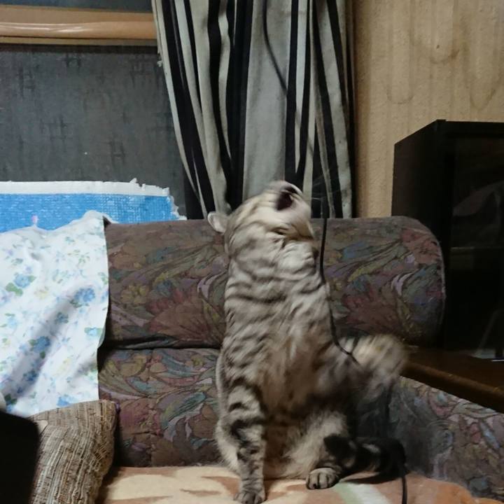 Cfb202fd 77c0 47f6 9f74 77b074c01a46 1520845351285