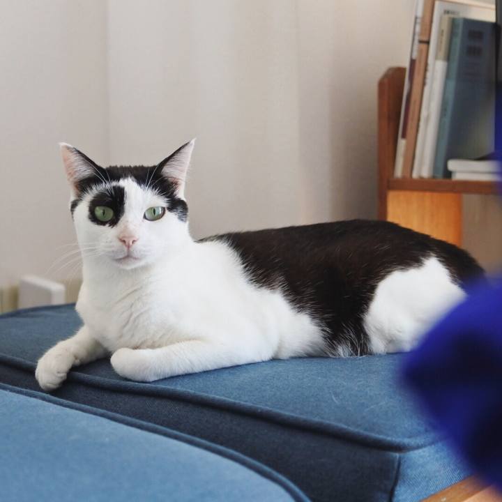 Cfb20c94 1f41 4e75 a5c0 9581055f77e7 1564203676307