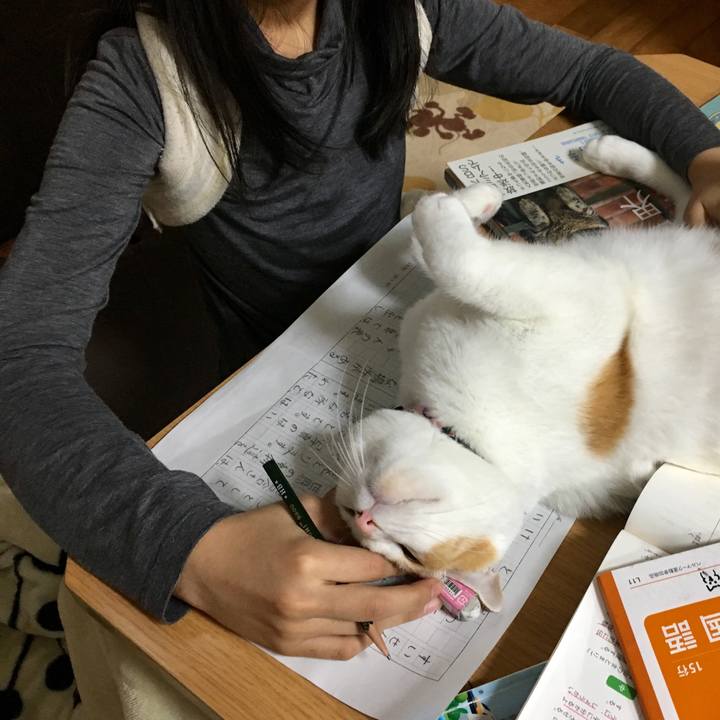 Cfb21384 804e 4ee1 a905 404f3ec4e5de 1517127131277