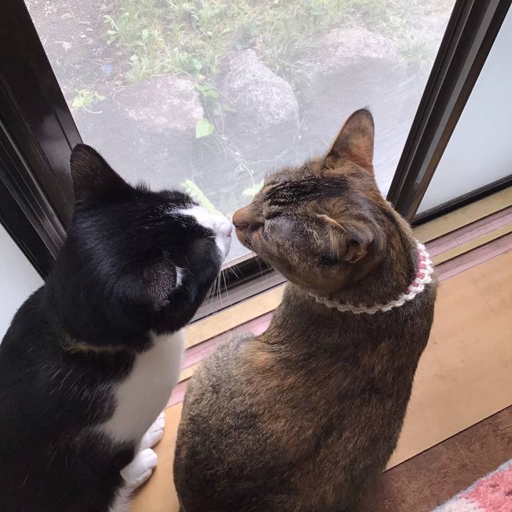 Cfb25073 2435 4129 b3aa 55286166f462 1650160883278