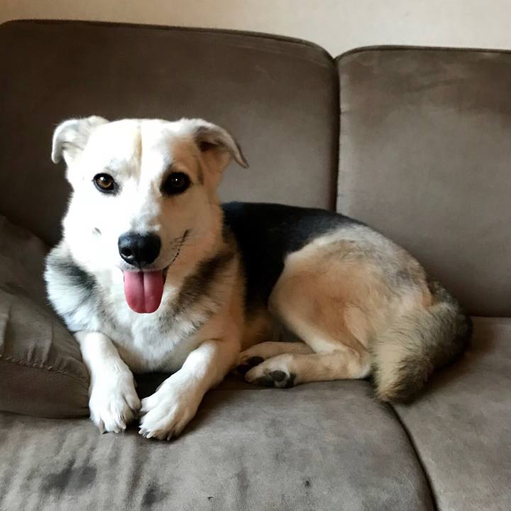 Cfb251bc ab0f 41ab a48e 463a113fddea 1522418492107