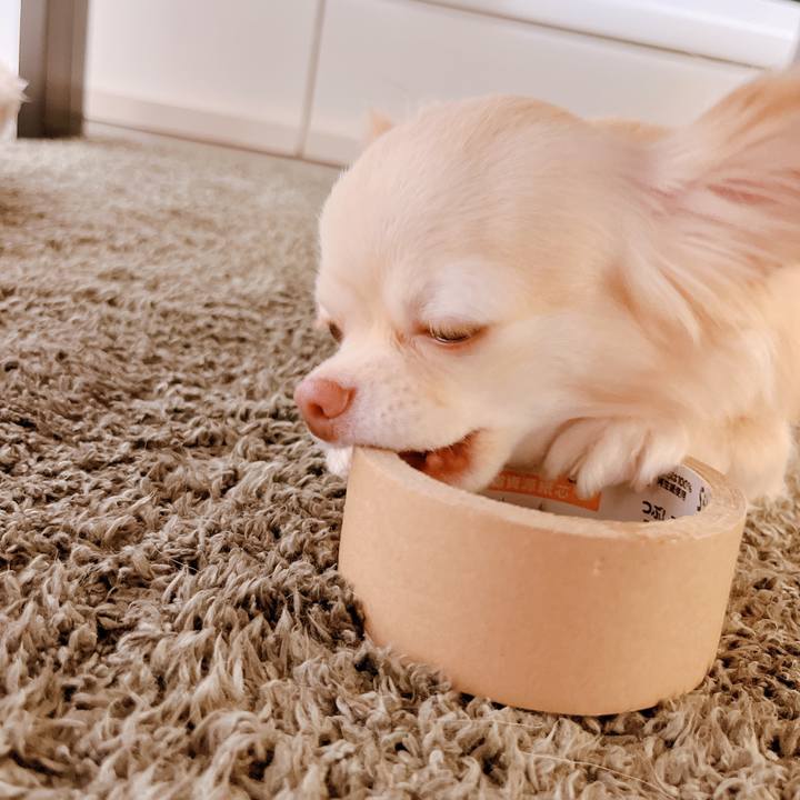 Cfb257e1 e3c3 4edf 96f3 43a38195a3df 1659611298604