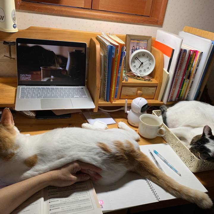 Cfb27c18 8353 4a33 ad93 87b71657dc9f 1646430884859