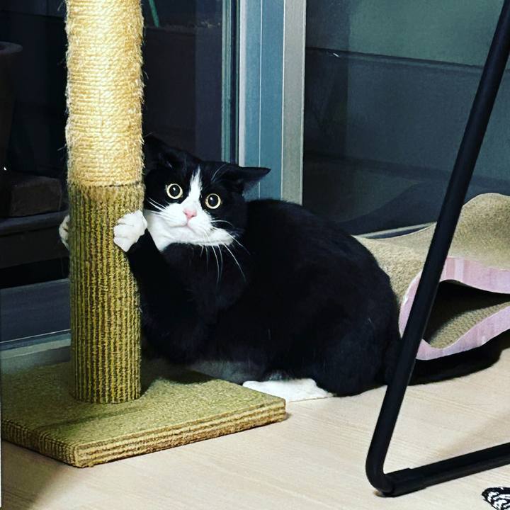 Cfb2b195 1626 4fbc b5a1 1577c0373021 1680181113998