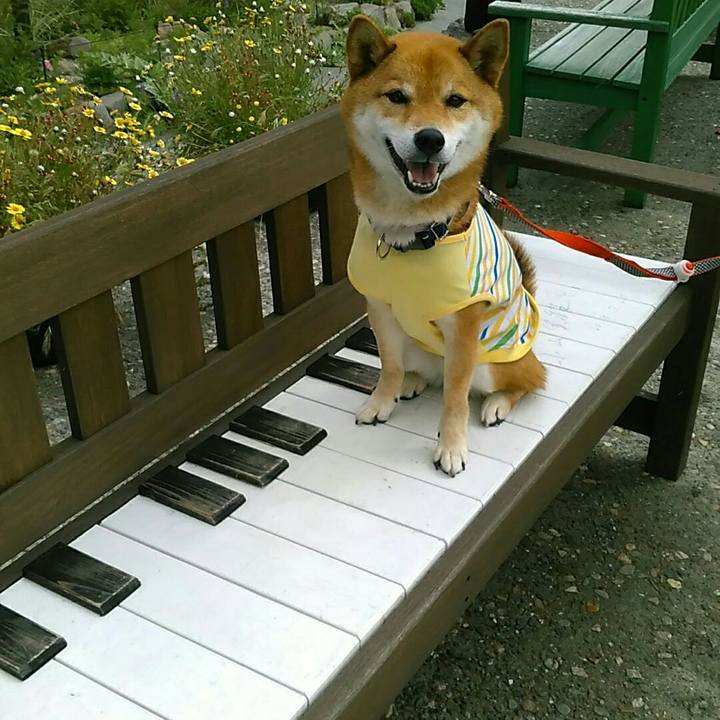 Cfb2b33f 3d07 4ee3 93eb 9d89c1c4a694 1562499247886