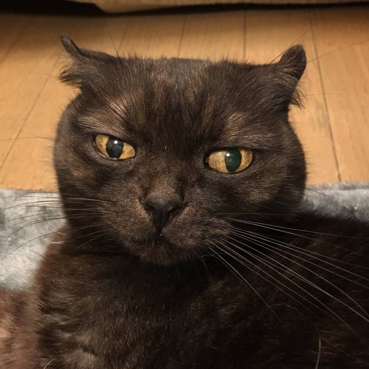 Cfb2bf48 636b 43ea aff7 c1455873d320 1544116855150