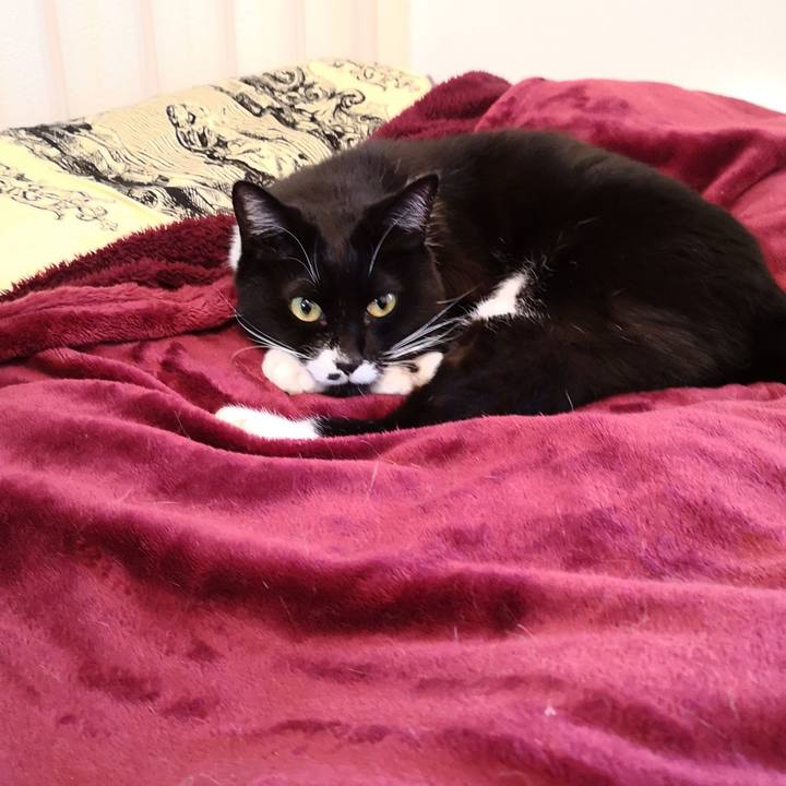 Cfb2e9aa 355b 4217 9c4a e878aa347a6a 1544800025358