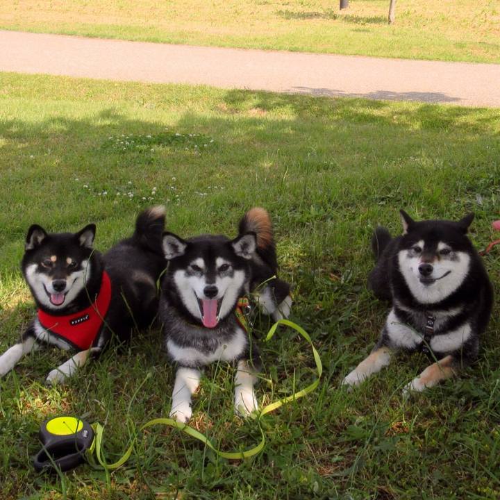 Cfb32312 c59a 43c5 bdb4 6249cf1b2a5b 1592190696142