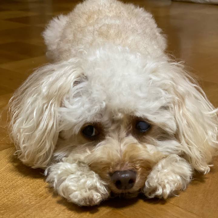 Cfb3349b 7982 470c a286 954c74a404e6 1624529389275