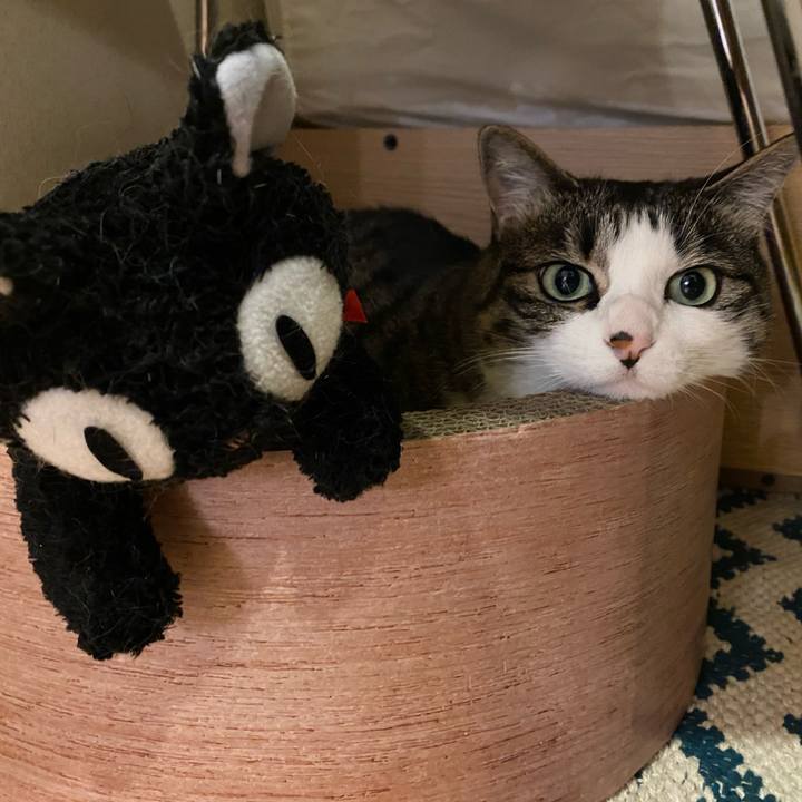 Cfb33620 8b4c 4f9f 9d1e a15ee3ff6bc7 1622599067270