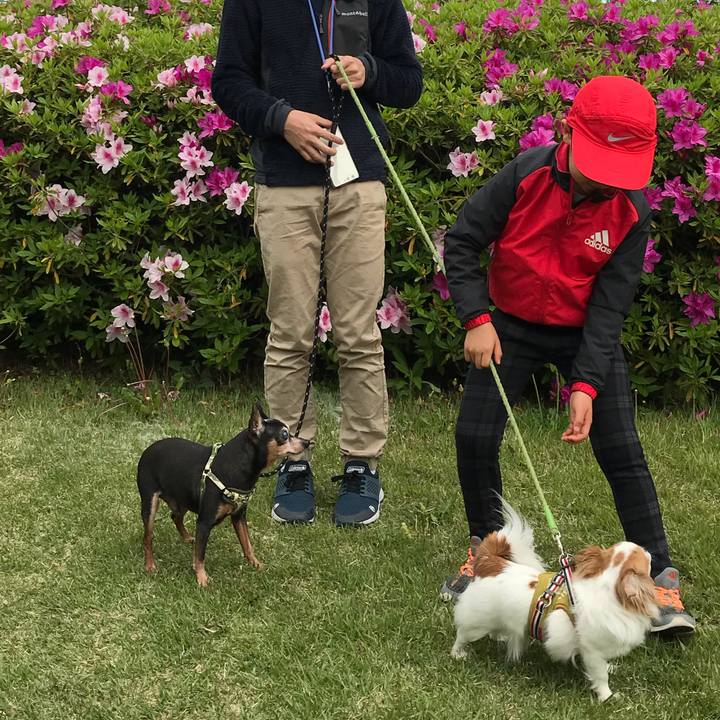 Cfb34a7b efd1 46b5 88a0 e4d73325cc05 1556508918787