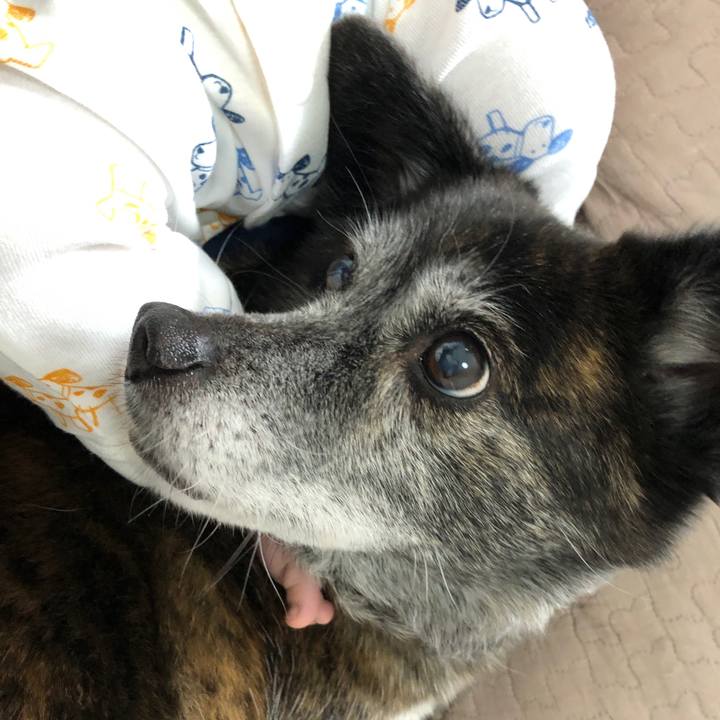 Cfb352af 31e3 4534 afa4 18d917de28d3 1705980752784