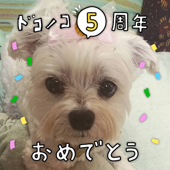 Cfb353fe 75d9 4a3a bf11 d2189d8df02e 1622892965387