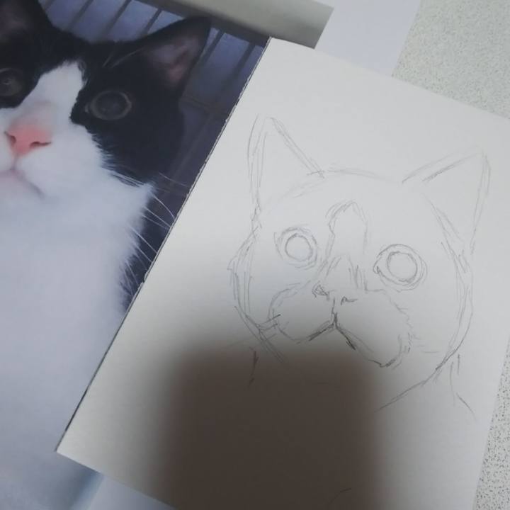 Cfb370bd 2dda 4a95 a6ee 40d490b785db 1572349597514