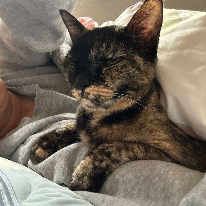 Cfb3866b f9d3 4770 b7d1 df5e926e09ae 1761263127636