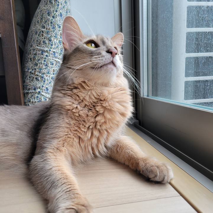 Cfb38d0f 0bee 438c 8474 72b6419bb7b3 1633826046125