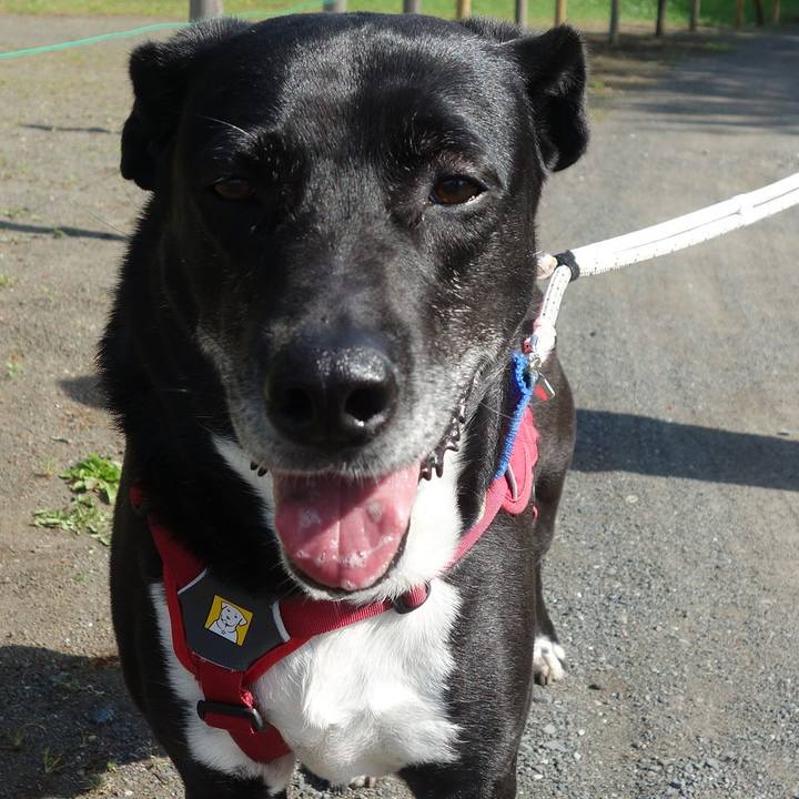 Cfb3a3a4 5650 45c8 9fbe 34ee87b6ef9f 1682651597247