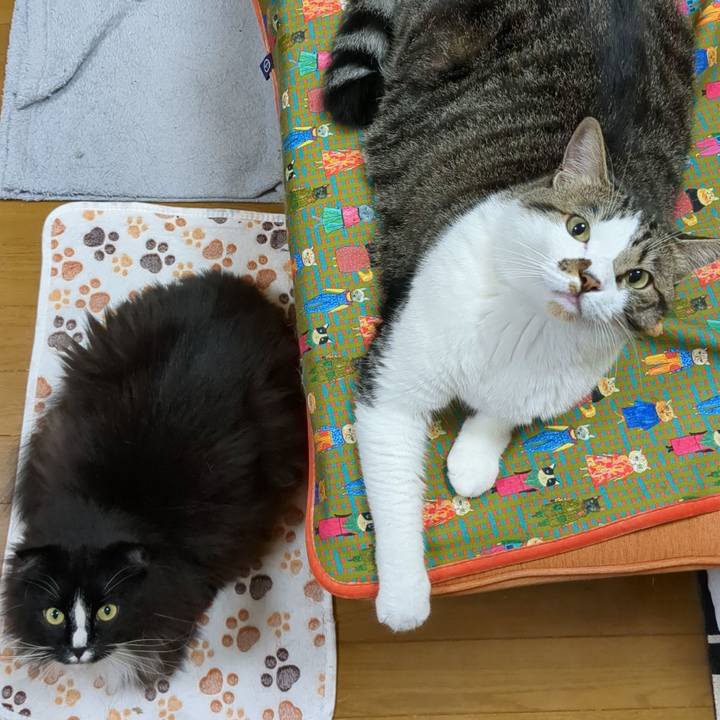 Cfb3ac35 2b01 4ca5 99b2 fd86775826c2 1685447391407