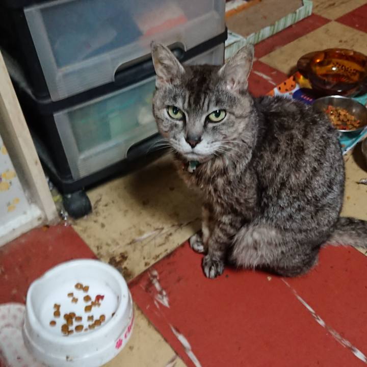 Cfb3cc57 302c 4df9 af1b b8415954a0cd 1563396970679