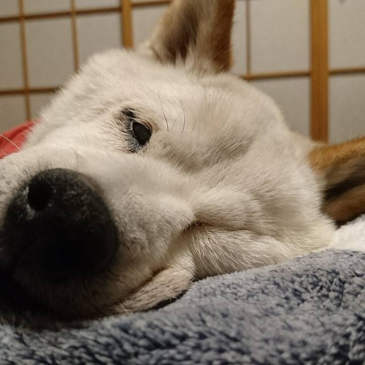 Cfb3f075 d1d6 4ea6 b8af f2043359b265 1508416546550