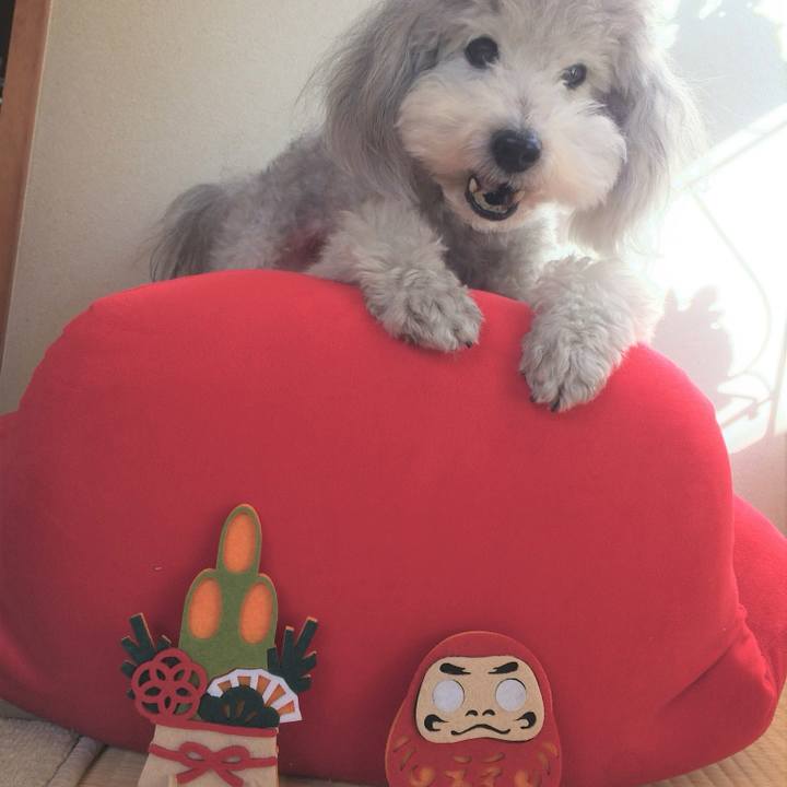 Cfb41162 4c36 4fe7 95db 98a5d65a8f97 1736158350695