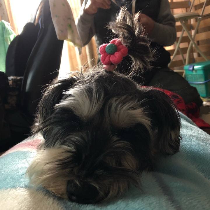 Cfb423aa 9ed6 45f1 8295 db92ebcdf467 1546482080397