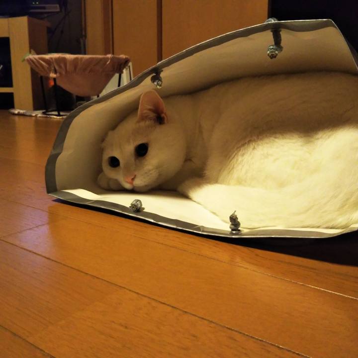 Cfb429ec 7c77 4e59 aa6f e82031e19143 1567855575870