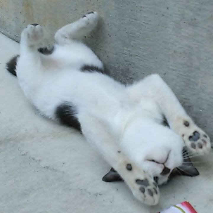 Cfb47825 7752 4ff2 a955 18dc99747022 1533103845488