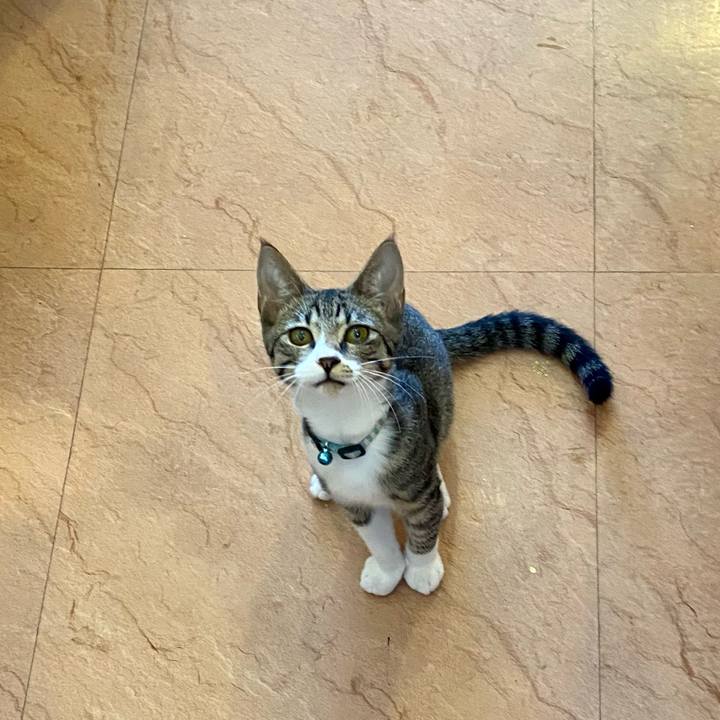 Cfb48997 d758 41cf 908f 26d95c3110a9 1630055794774